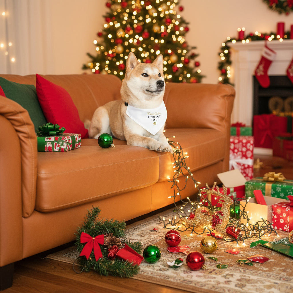Dear Santa Pet Bandana Collar - Santa's Little Helper